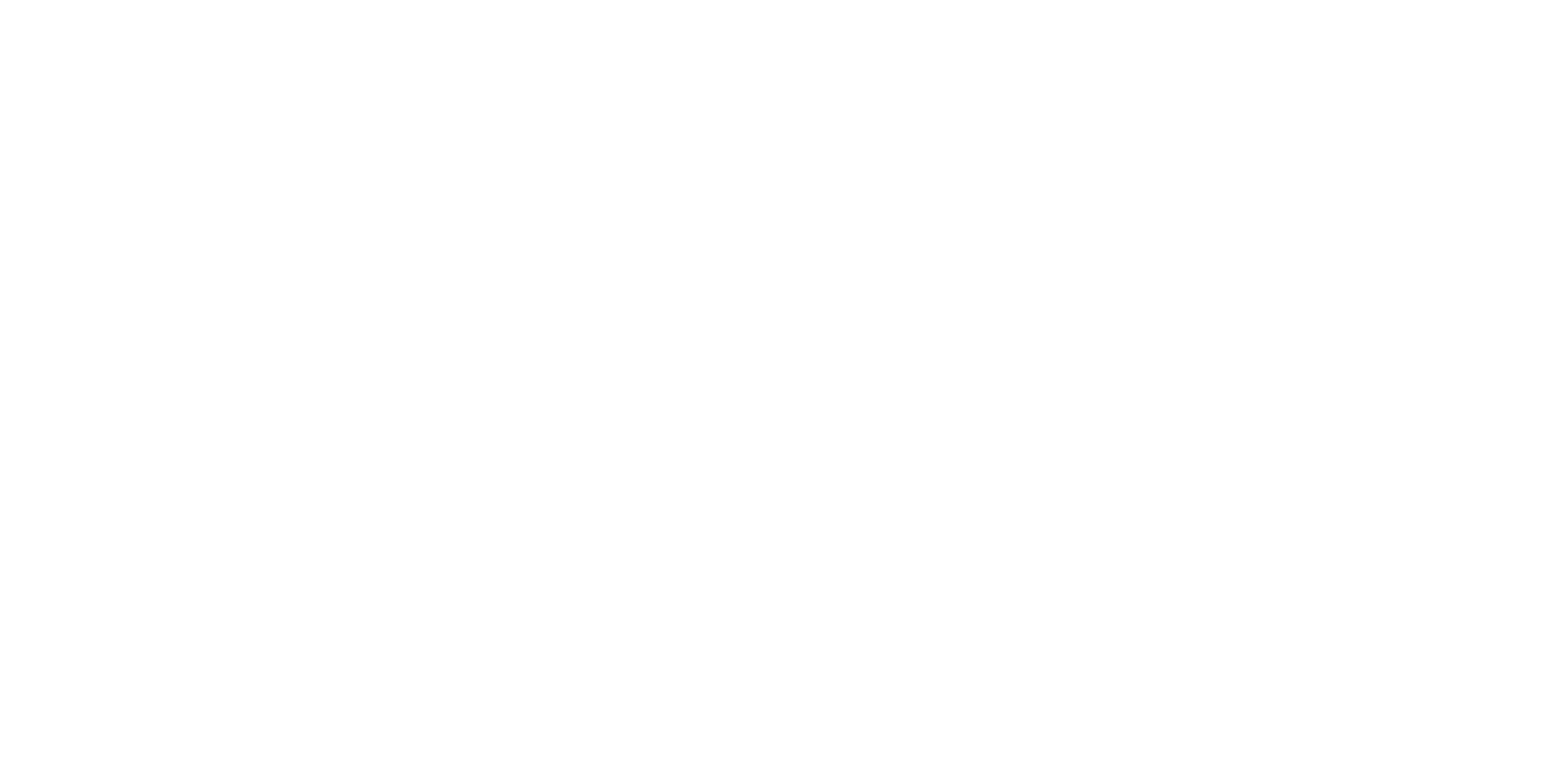 PINZ Logo